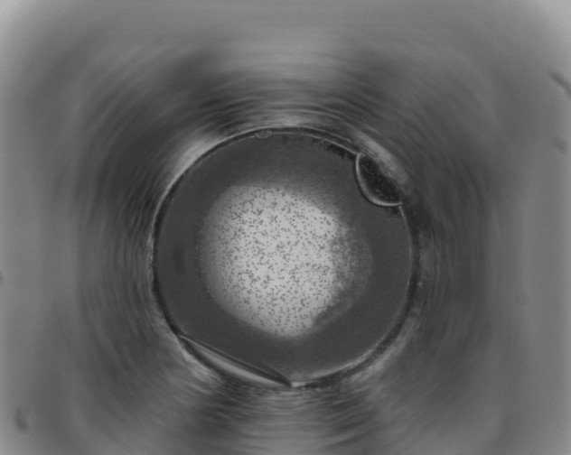 X0000096471178200801311528