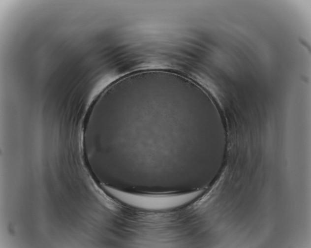 X0000096471179200801311528