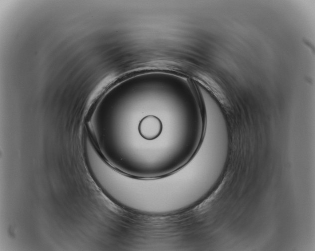 X0000096471180200801311528