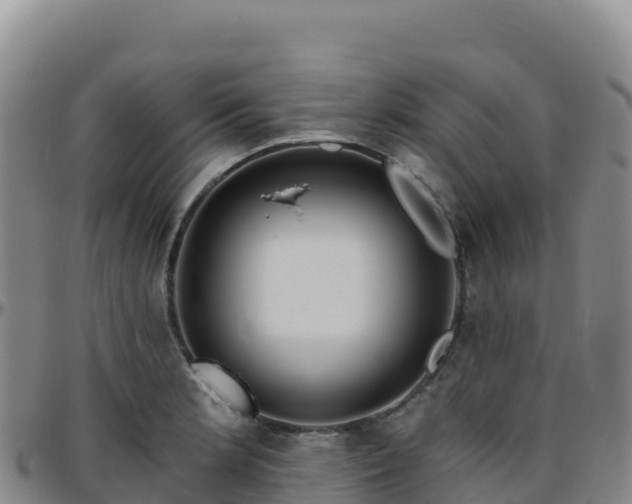 X0000096471181200801311528
