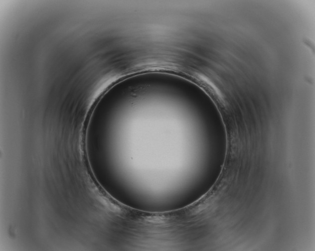 X0000096471182200801311528