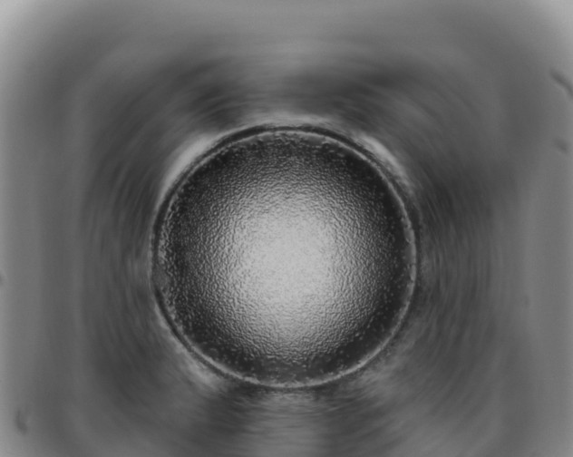 X0000096471183200801311528