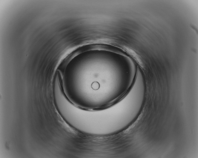 X0000096471184200801311528