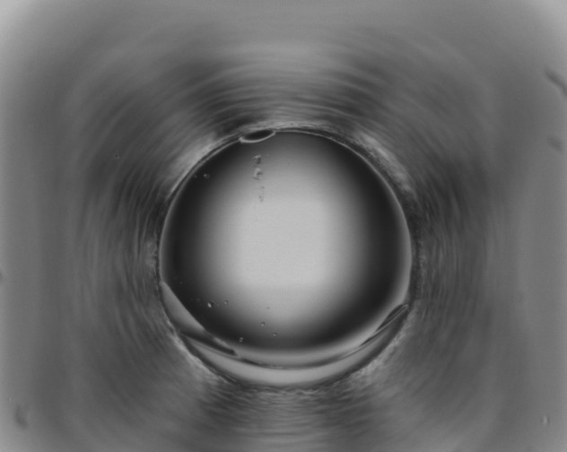 X0000096471185200801311527