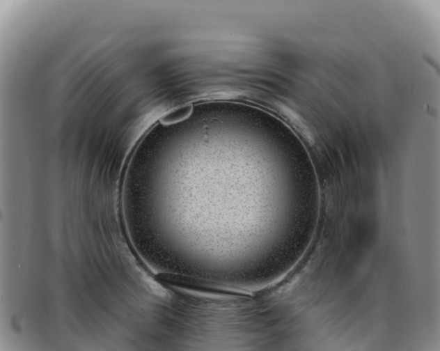 X0000096471186200801311527