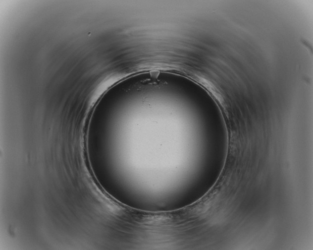 X0000096471187200801311527