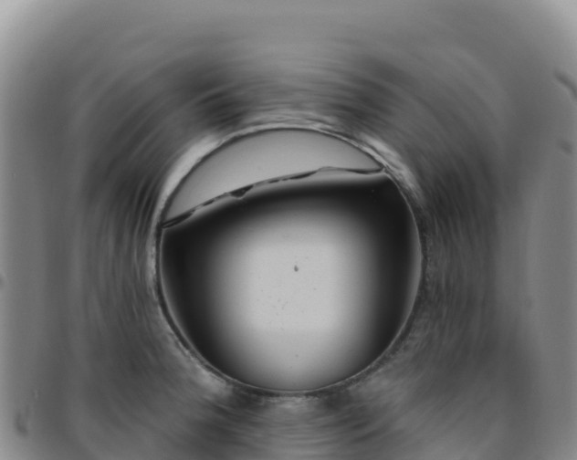 X0000096471188200801311527