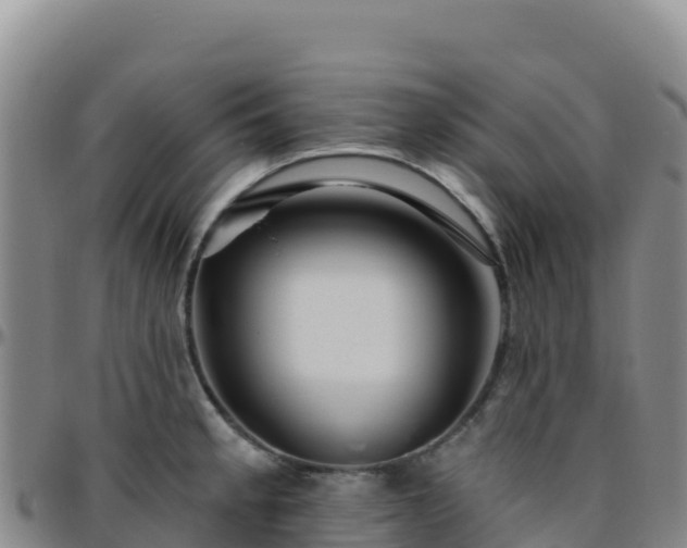 X0000096471189200801311527