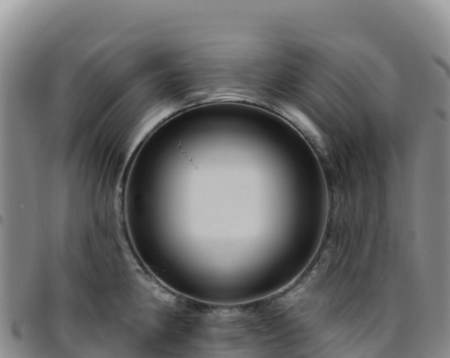 X0000096471190200801311527