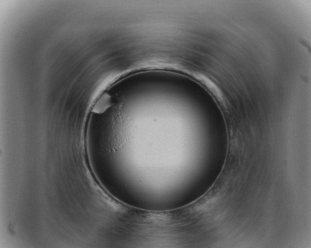 X0000096471191200801311527