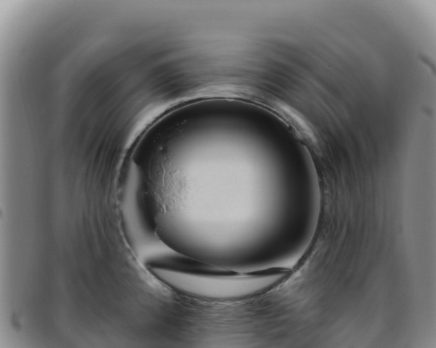 X0000096471192200801311527