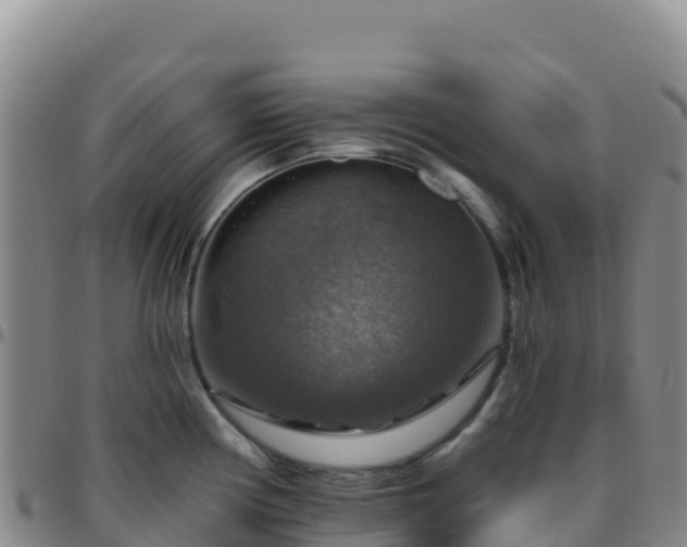 X0000096471194200801311527