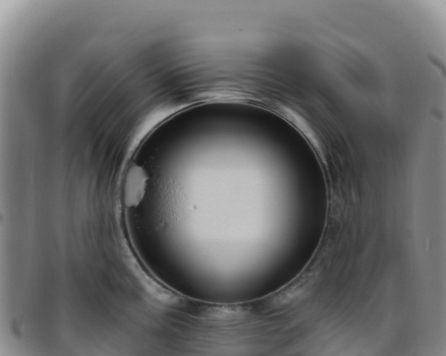 X0000096471195200801311527
