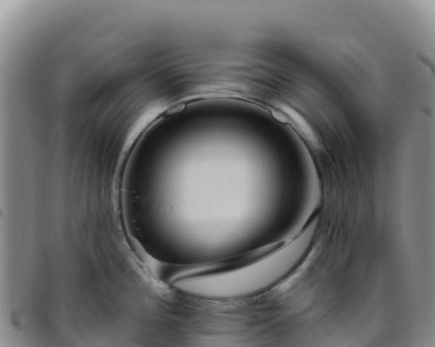 X0000096471196200801311527