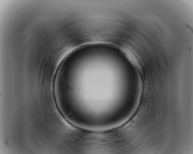 X0000096471197200801311527