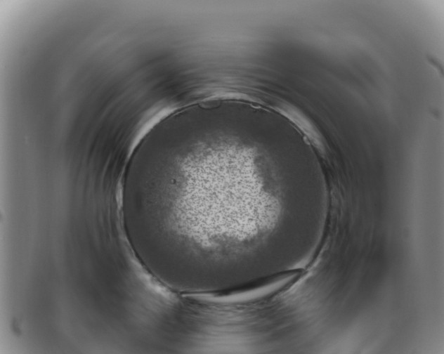 X0000096471198200801311527