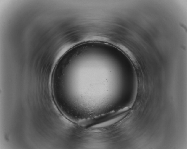 X0000096471199200801311527