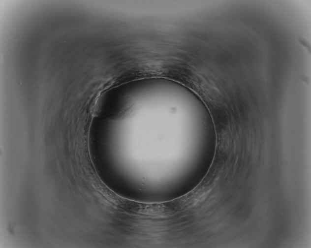 X0000096471201200801311527