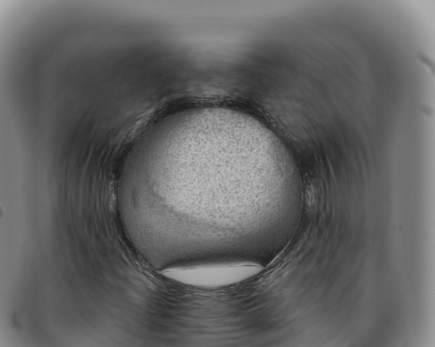X0000096471204200801311527