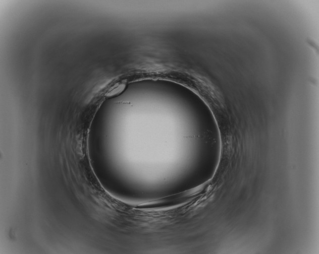X0000096471205200801311527