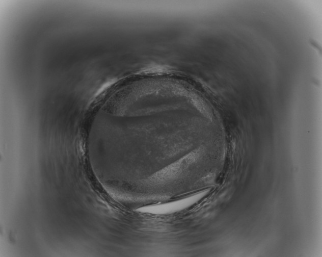 X0000096471206200801311527