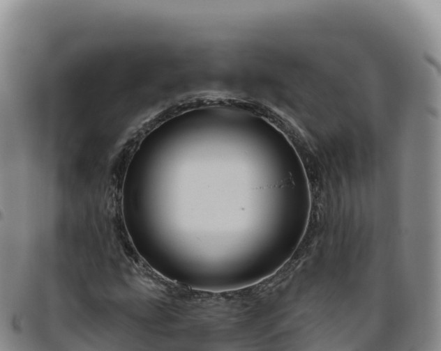 X0000096471207200801311527