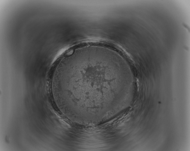 X0000096471208200801311527