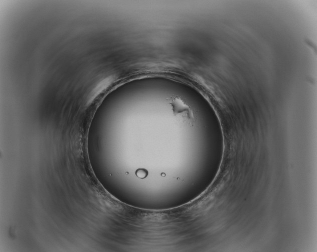 X0000096471211200801311527