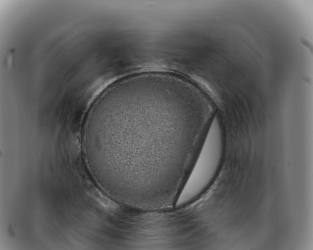 X0000096471212200801311527