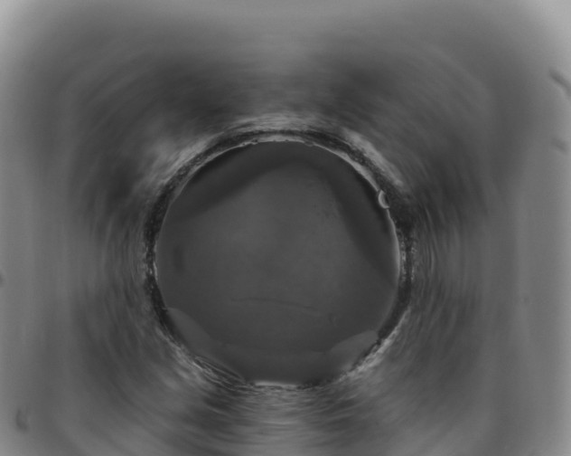 X0000096471213200801311527