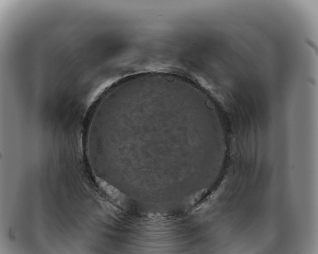 X0000096471214200801311527