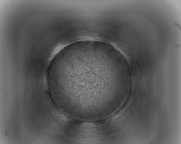 X0000096471215200801311527