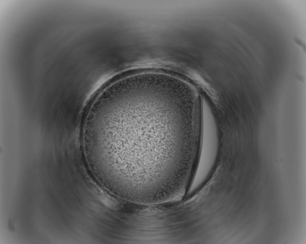 X0000096471216200801311527