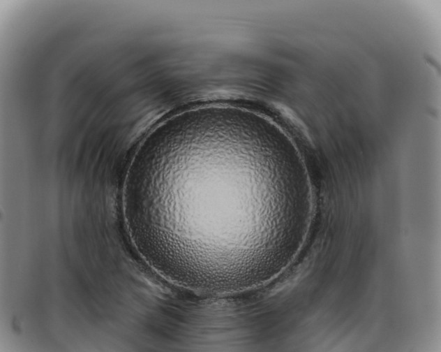 X0000096471217200801311527