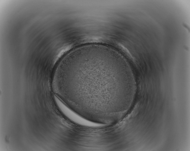 X0000096471218200801311527
