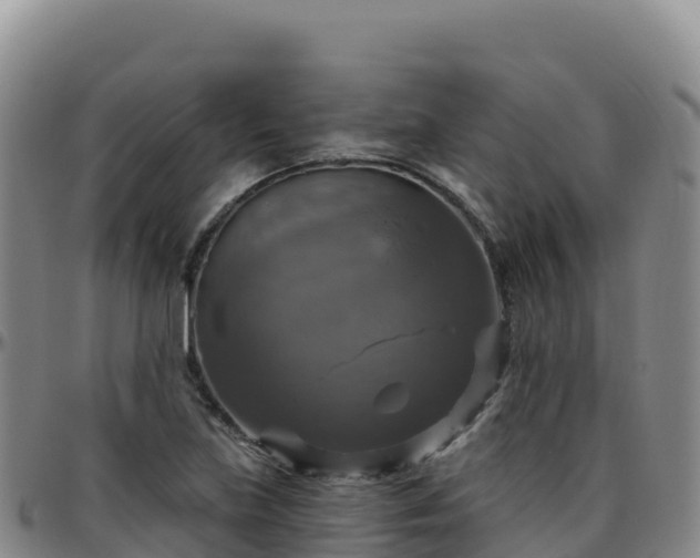 X0000096471219200801311527