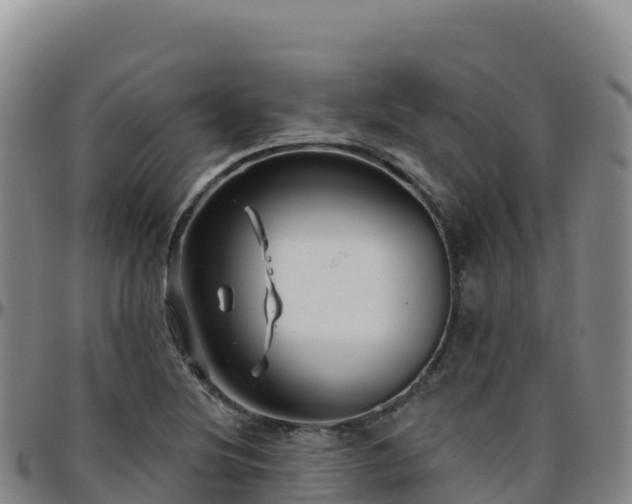 X0000096471220200801311527