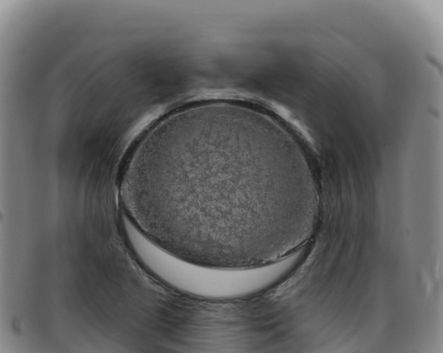 X0000096471221200801311527