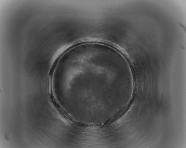 X0000096471223200801311527