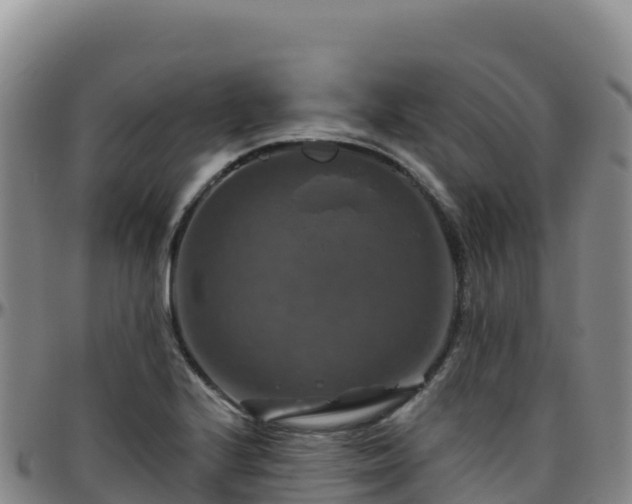 X0000096471224200801311527