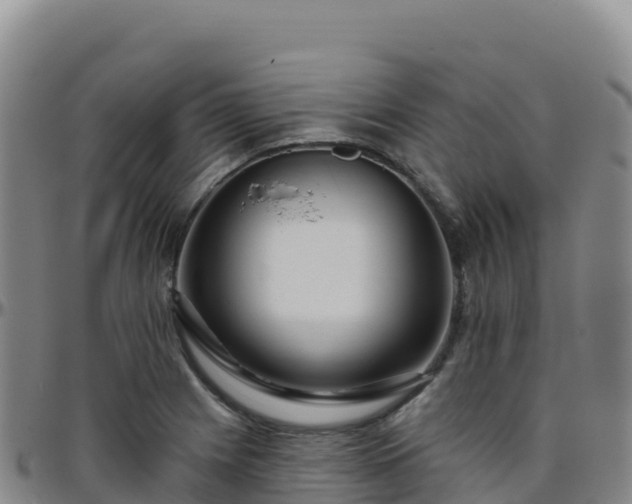 X0000096471225200801311527