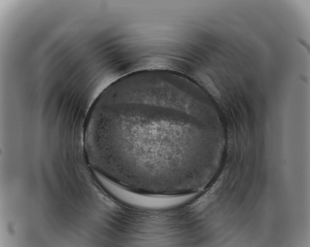 X0000096471226200801311527
