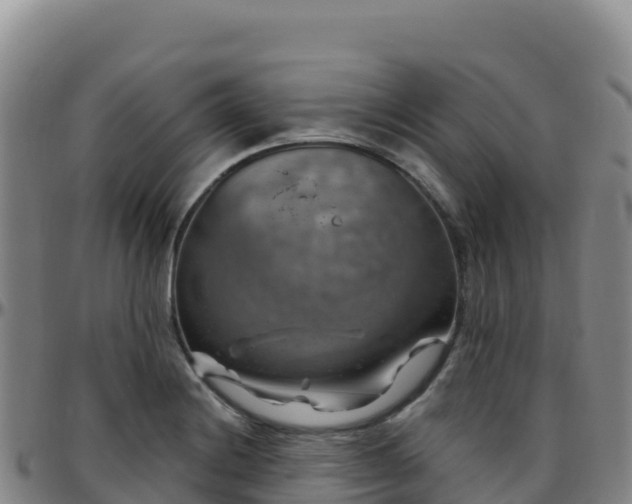 X0000096471228200801311527