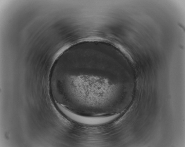 X0000096471229200801311527