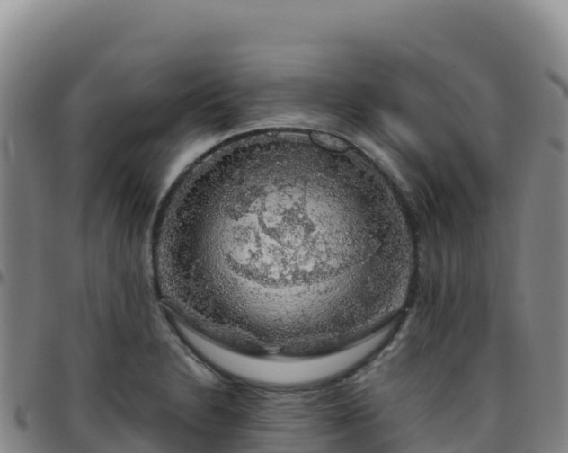 X0000096471230200801311527