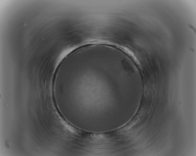 X0000096471231200801311527