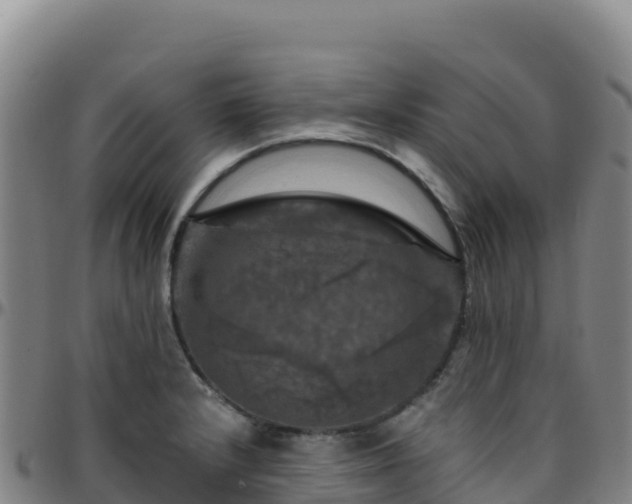X0000096471232200801311527