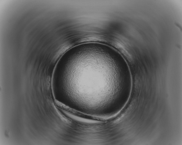 X0000096471233200801311527