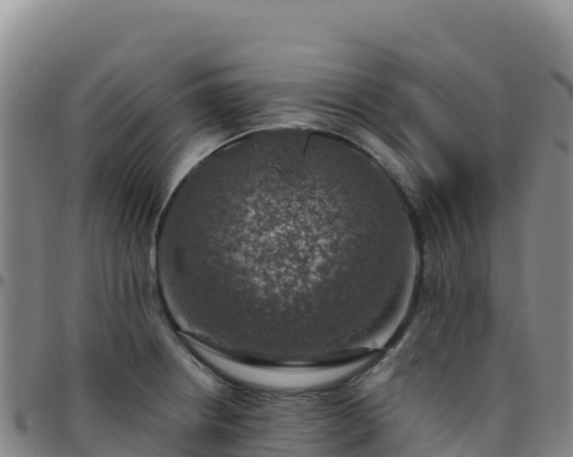 X0000096471234200801311527