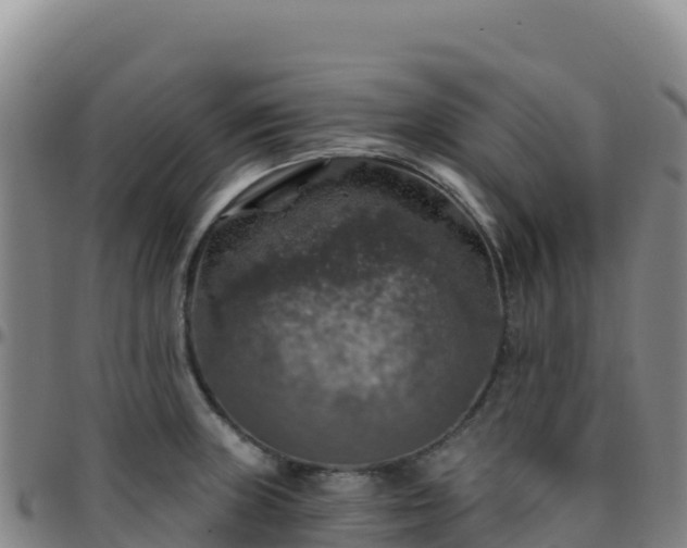 X0000096471235200801311527